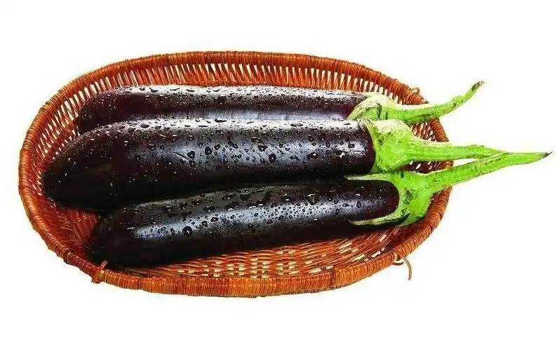 茄子(把)蒂的妙用—— 北京台,凤凰卫视直播