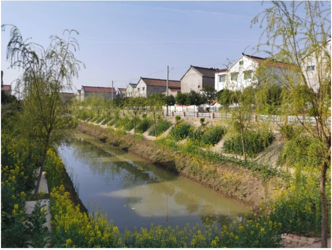 鹿邑县高集乡:"六个一"绘就乡村振兴新画卷