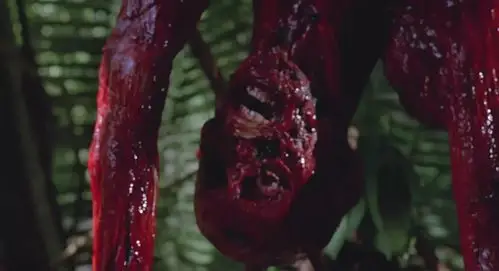 《铁血战士》中恐怖血腥的画面成了很多人的童年阴影我们就是来看血浆