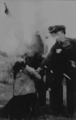 六十年代枪毙犯人的真实经过