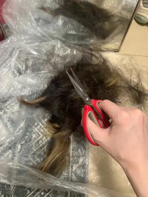 自己在家剪头发