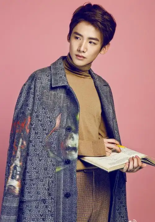 内地90后男艺人综合实力top20 有没有你的男神?|盗墓笔记|致青春|曝光