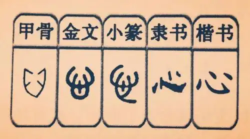 今日解字「心」:中国古人对心脏有独特的体会