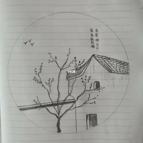 铅笔画梅