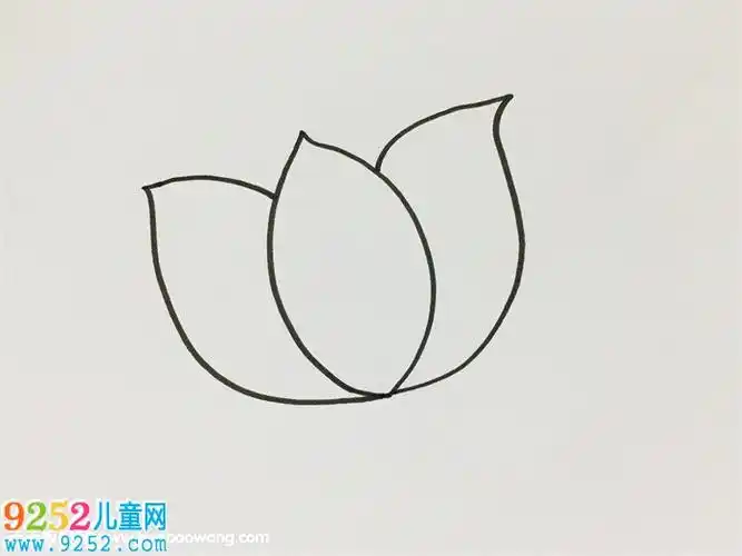 一步一步教我画荷花荷花简笔画