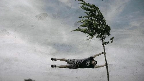 好大的风,竟然把大柱子吹倒了,车子倒霉了啊!