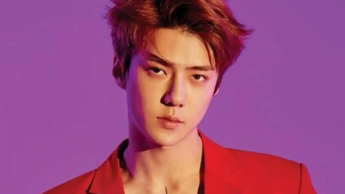 exo的吴世勋和wa$$up的nari(金娜利)的恋情真假?