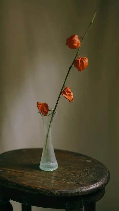 复古静物图片摄影手机壁纸