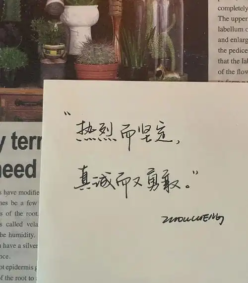 爱情大概就是,终其一生,满是遗憾94 #好看的背景图 #文案 - 抖音