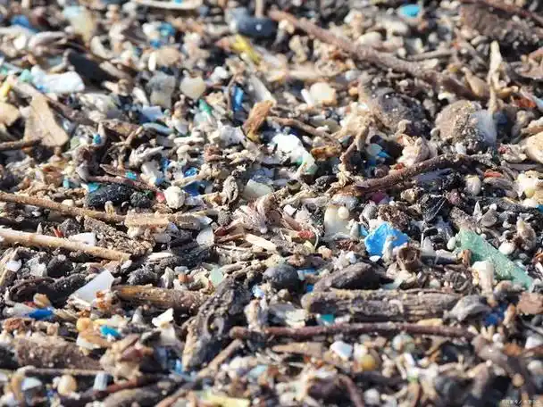 微塑料:微小威胁,巨大危害