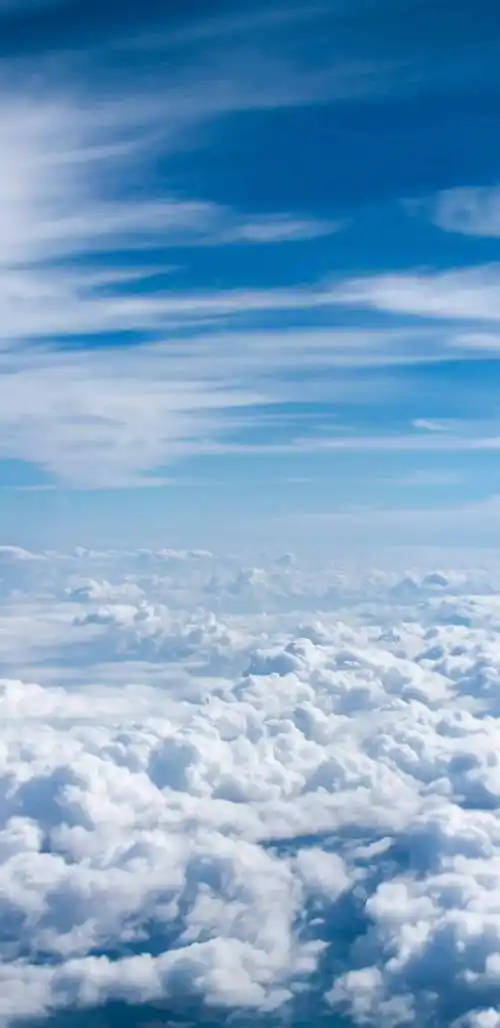 全面屏壁纸高清及时行乐此生尽兴