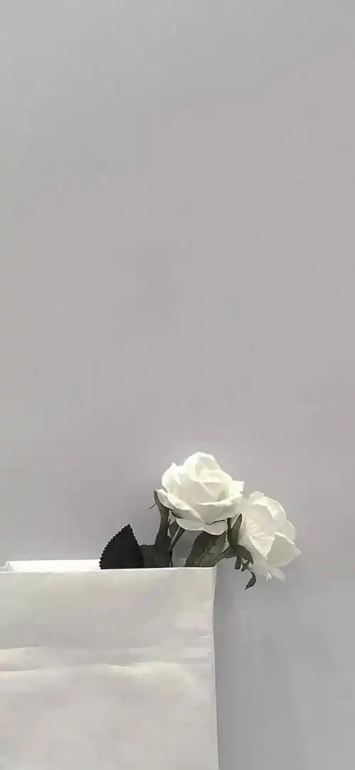 小众文艺风壁纸