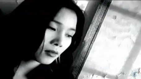 《野花》田震(1996年经典歌曲)