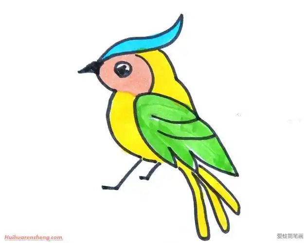 卡通小鸟简笔画
