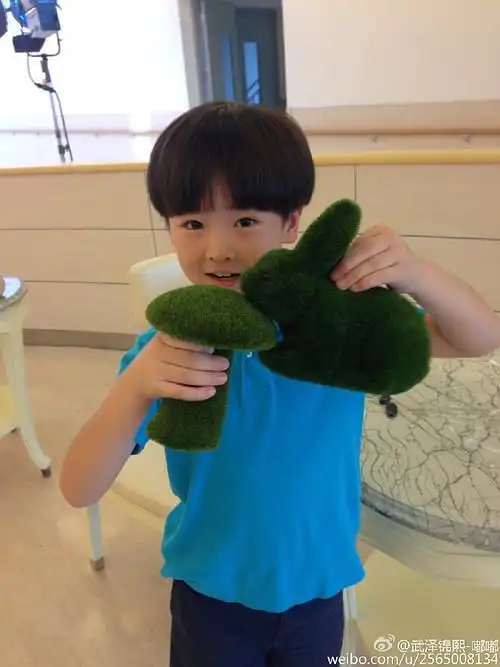 武泽锦熙 zejingxi wu的图片