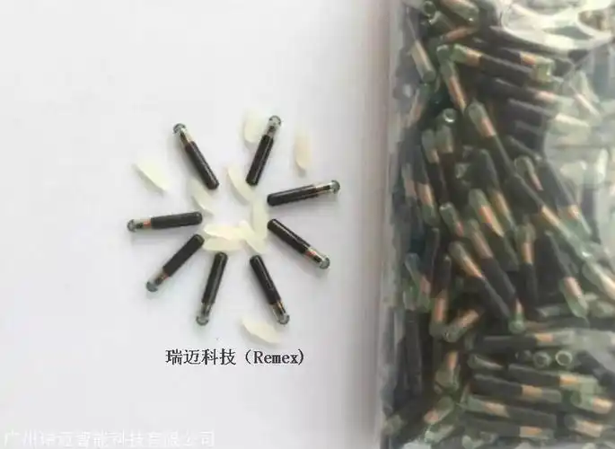宠物芯片狗狗芯片马匹芯片动物芯片植入式玻璃管芯片