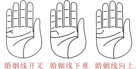 婚姻线开叉,代表婚后意见不合或各居异地,惟异地婚姻无疑.