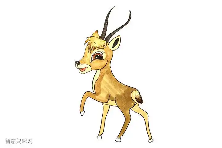 小藏羚羊怎么画