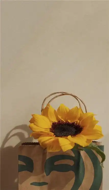 很有个性的超级好看的手机壁纸 2023最流行潮图皮肤合集