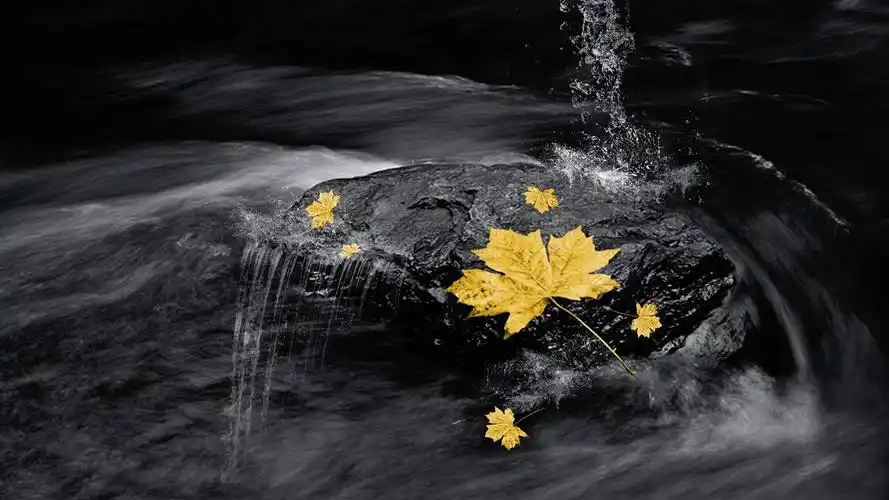 唯美的秋色美景自然风光高清电脑桌面主题壁纸图片(一)_风景壁纸_壁纸