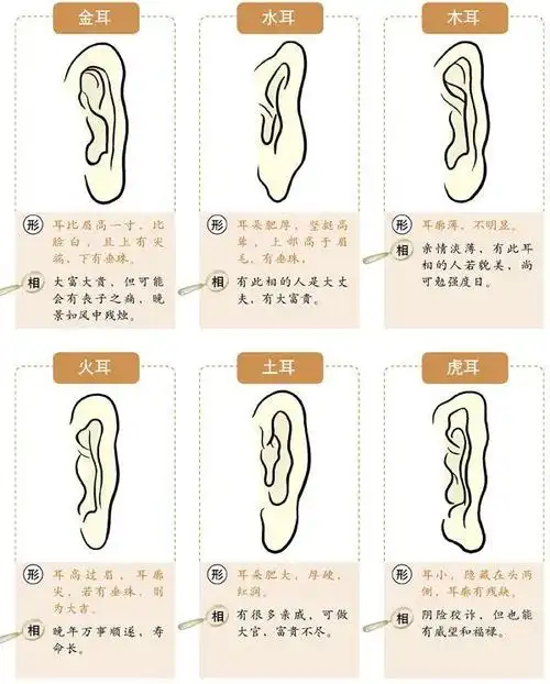 面相解析:麻衣相法大全图解