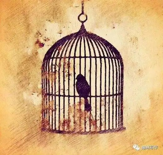 笼中鸟