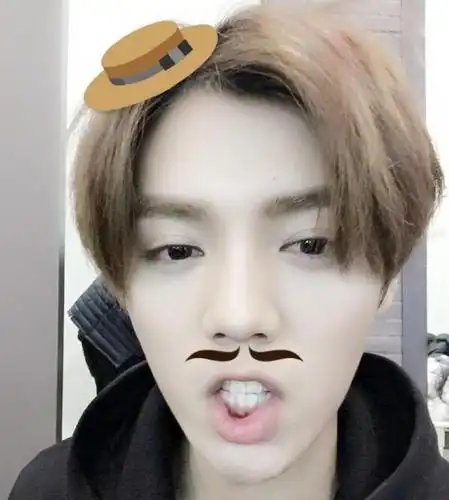 戴着绅士帽,留着胡子的鹿晗表情