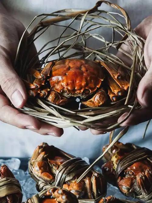 大闸蟹唯美照片2