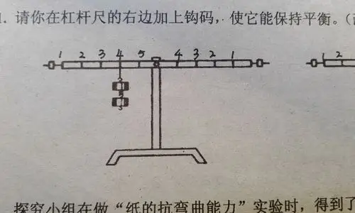 【小学科学】请你在杠杆尺的右边加上钩码,使它保持平衡.
