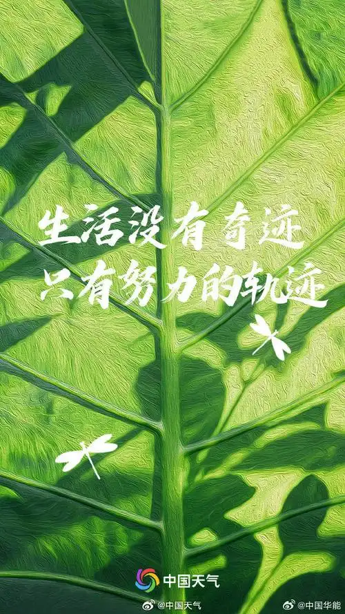 #春日限定励志壁纸##随手拍最美春天#