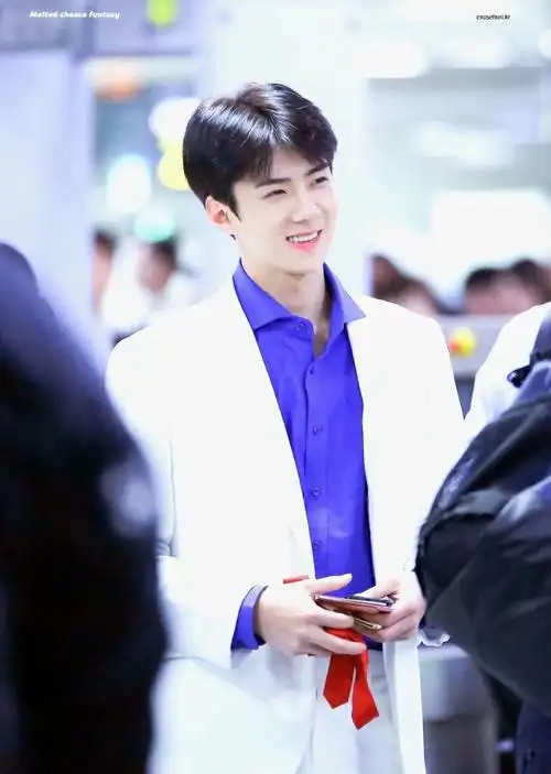 理想少年——吴世勋合集