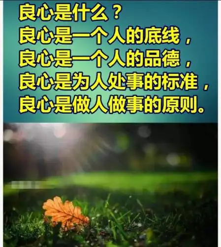 人一旦没了良心