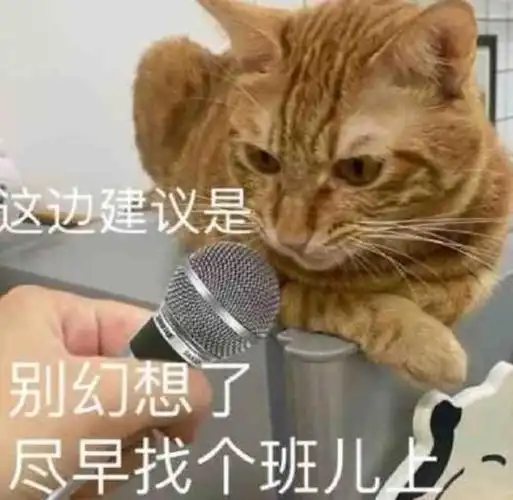 既能提升自己的业务能力收割口碑,还减少了五官乱飞表情包的传播量