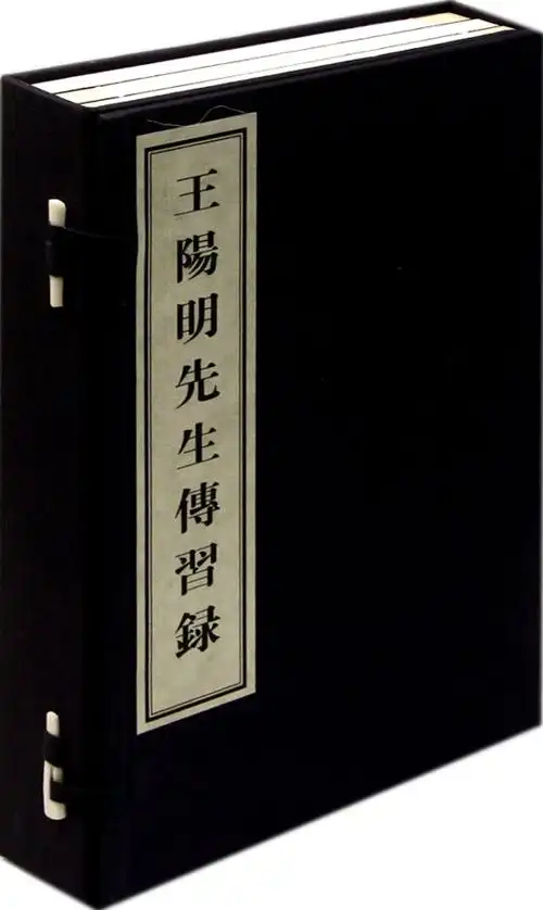 王阳明简介(明朝王阳明简介) 第2张