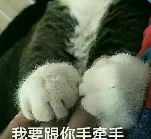 猫咪撒娇表情包没有男朋友的就不要点进来了
