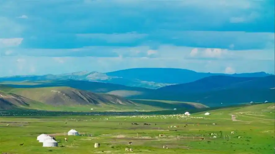 千年游牧传承路 万众一心助申遗 阿鲁科尔沁草原游牧系统申报全球重要