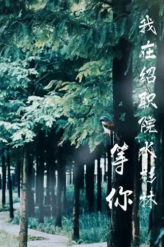 我在绍职院,静静等你