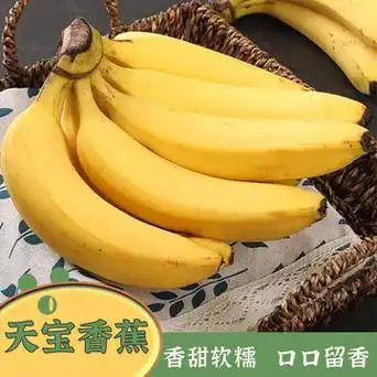 福建漳州天宝香蕉新鲜采摘5斤装天宝蕉当季特产水果产地直发包邮
