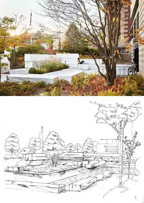 (手绘打卡案例41期)小区庭院景观小品写生