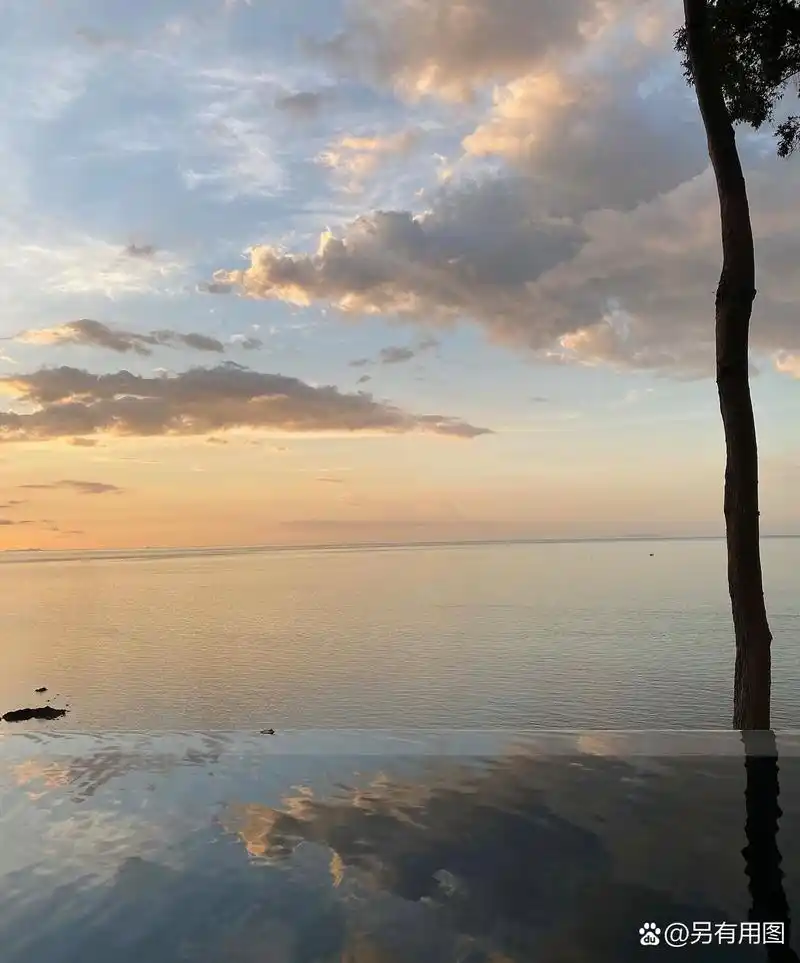 海边的傍晚的风景,真的是巨好看的,除了美景,还有美人,这位白衣翩翩的