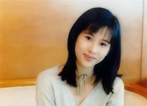 拍摄完《打天下》之后,文颂娴又再度息影.