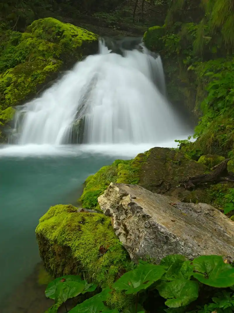 属龙的人:将有机会接触到新的机遇和挑战,财运和