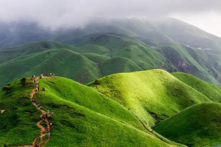 [端午] 遇见武功山|漫步云端,高山草甸,日出云海,初.