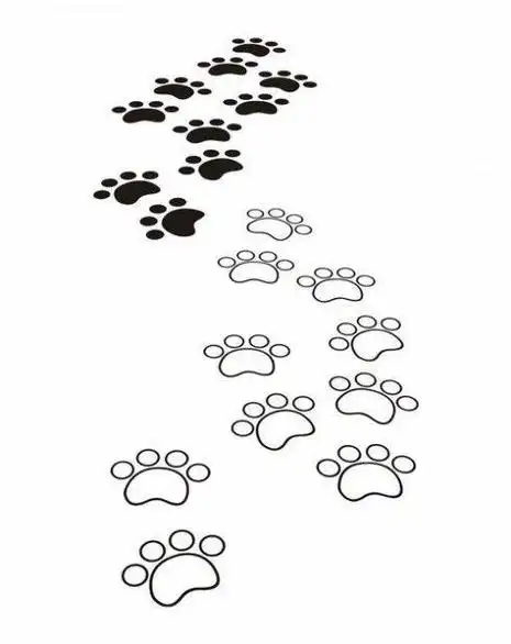 小猫脚印简笔画萌