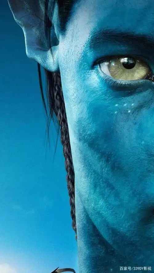 阿凡达高清壁纸自取
