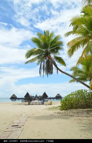海南沙滩海边椰树图片