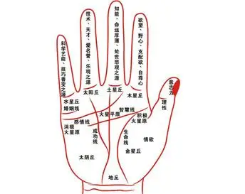 归谷山首页 女人面相 算命大全 女性手相婚姻线图解 >> 正文  女性