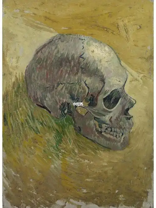 每日一幅世界名画梵高头骨
