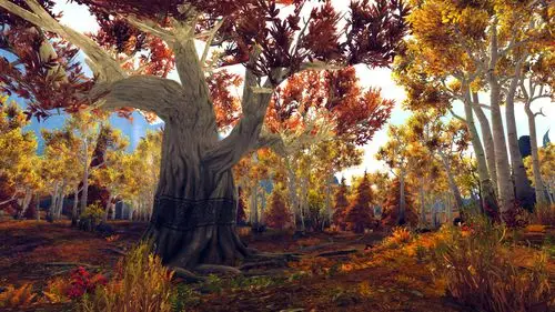 外国网友盘点魔兽世界十大绝美之地大盘点