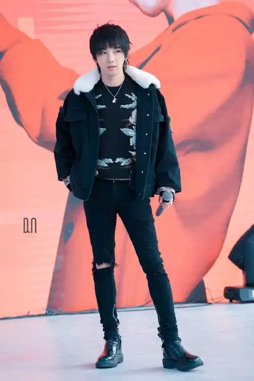 【华晨宇水仙文】《red wings》第八章